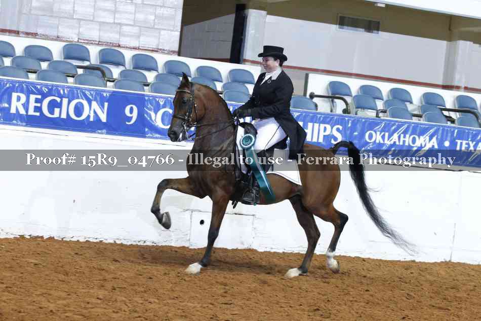 Proof Number 15R9_04766