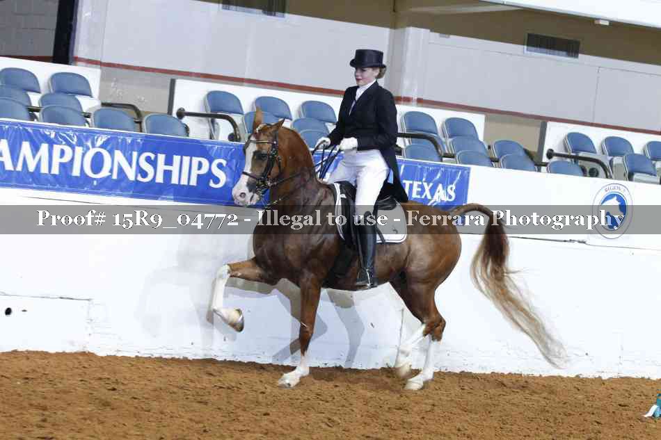 Proof Number 15R9_04772
