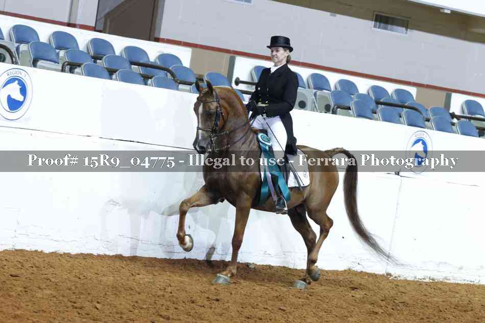 Proof Number 15R9_04775