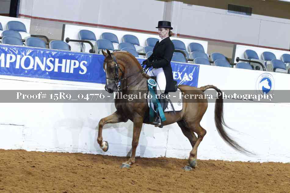 Proof Number 15R9_04776