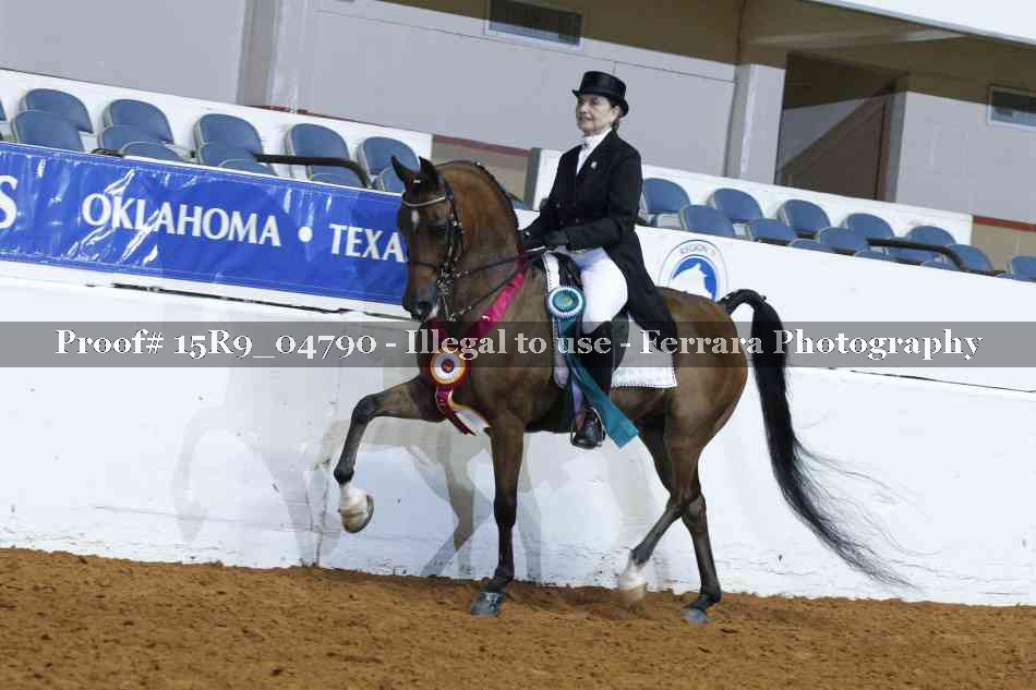 Proof Number 15R9_04790