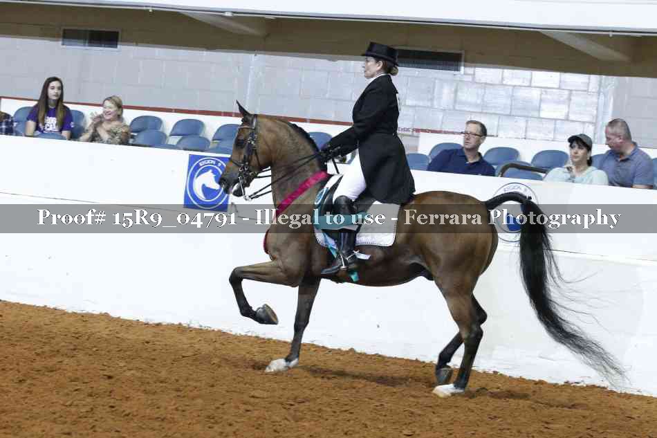 Proof Number 15R9_04791