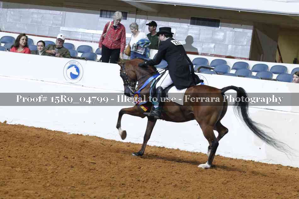 Proof Number 15R9_04799
