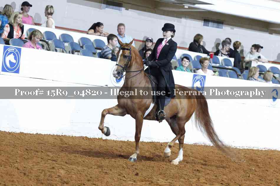 Proof Number 15R9_04820