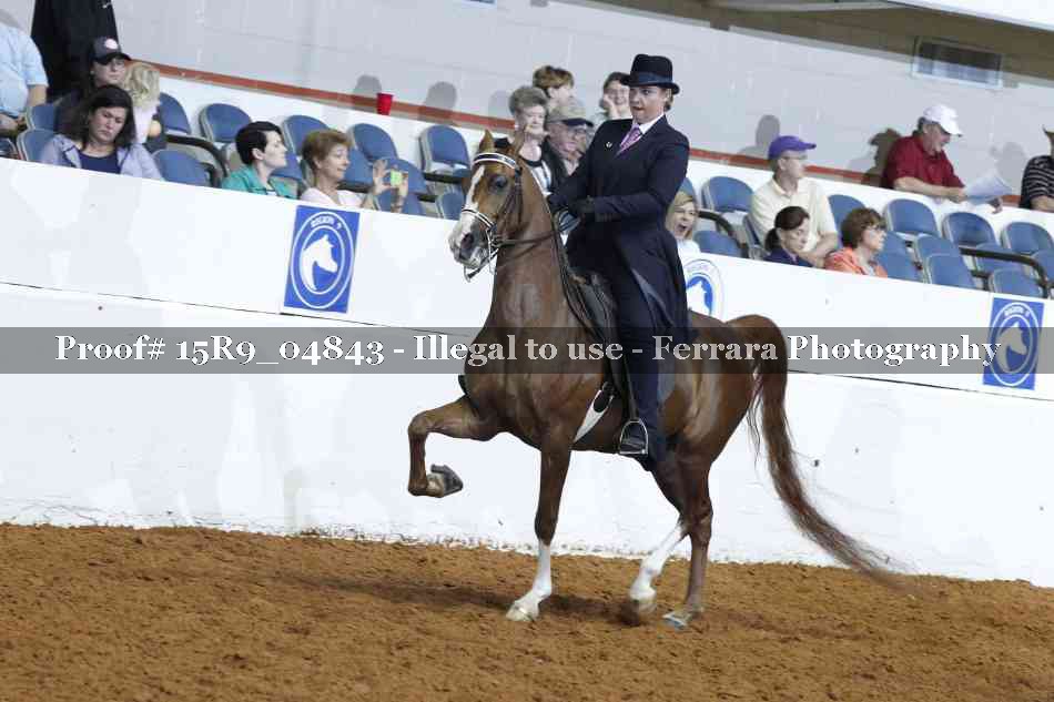 Proof Number 15R9_04843