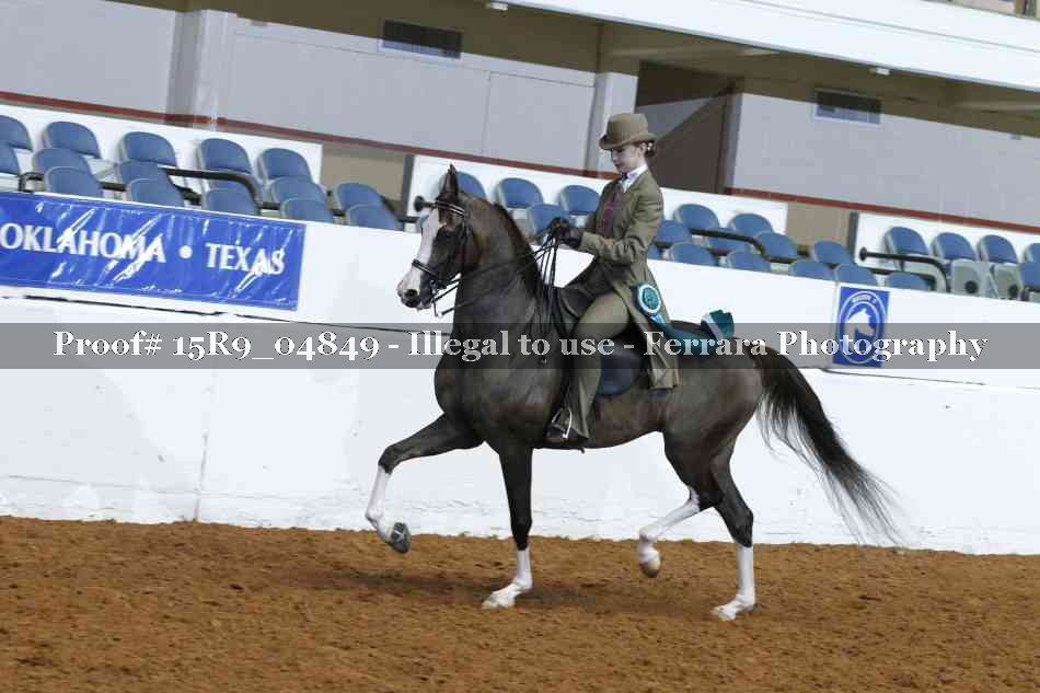 Proof Number 15R9_04849