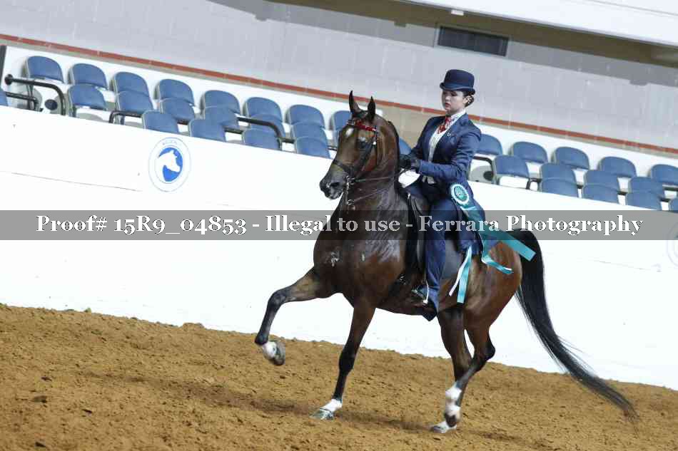 Proof Number 15R9_04853
