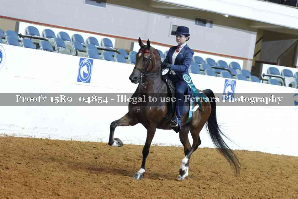 Proof Number 15R9_04854