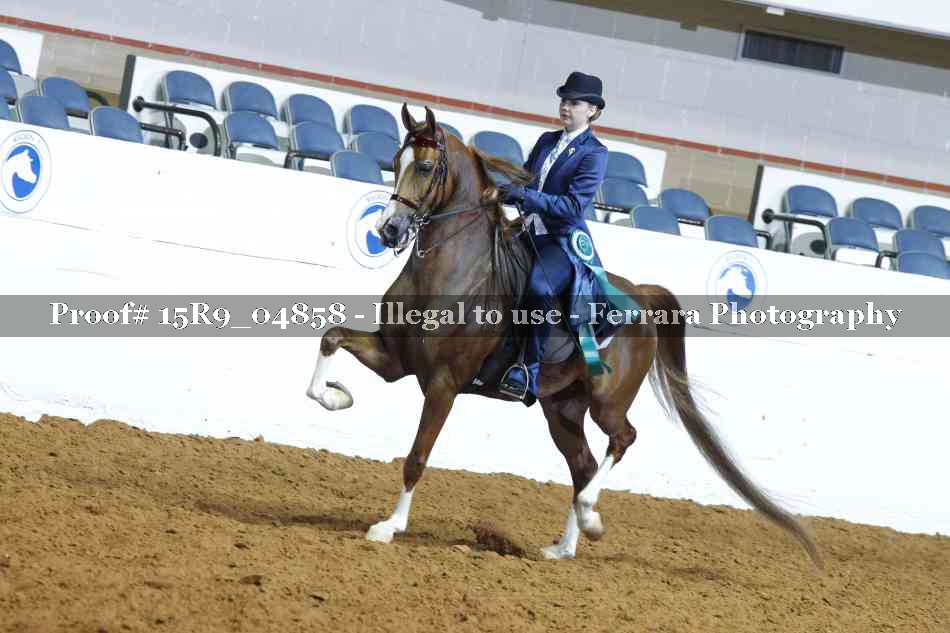 Proof Number 15R9_04858