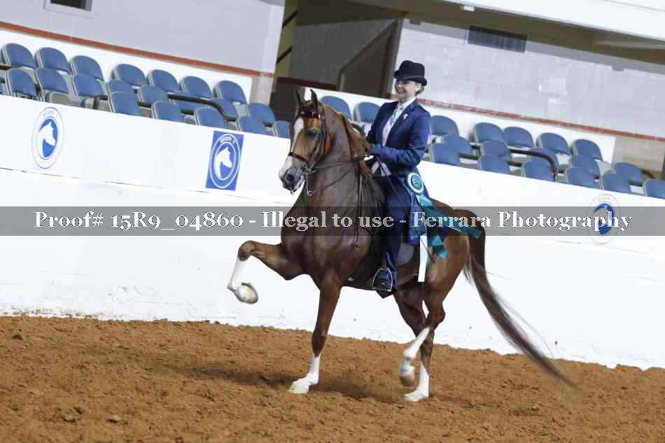 Proof Number 15R9_04860