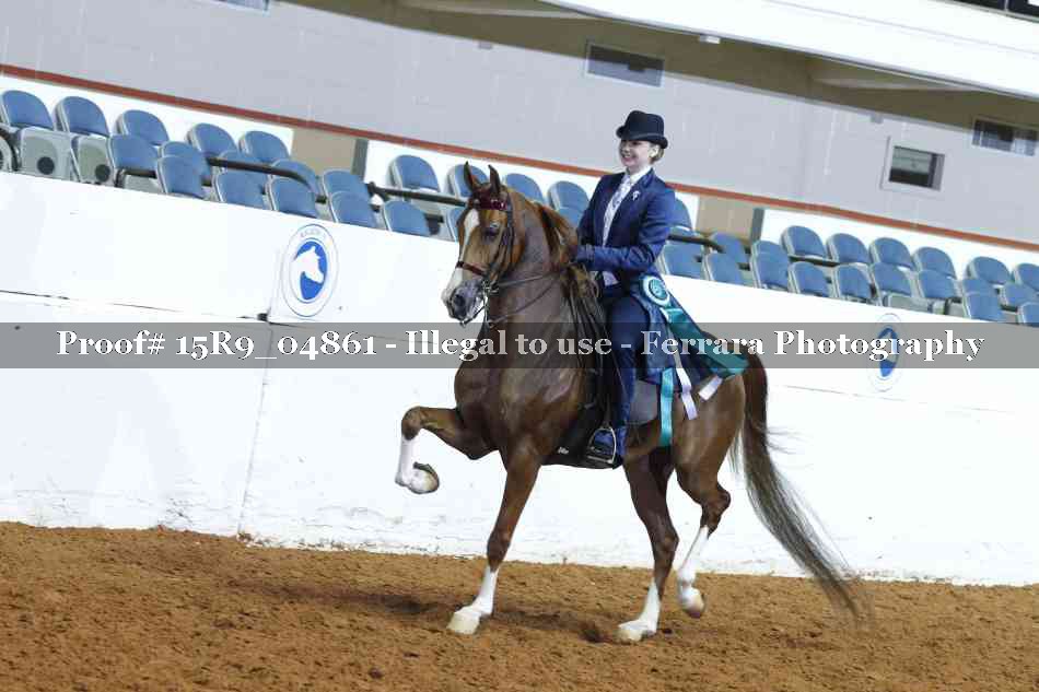 Proof Number 15R9_04861