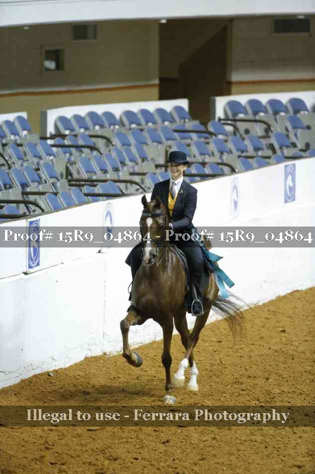 Proof Number 15R9_04864