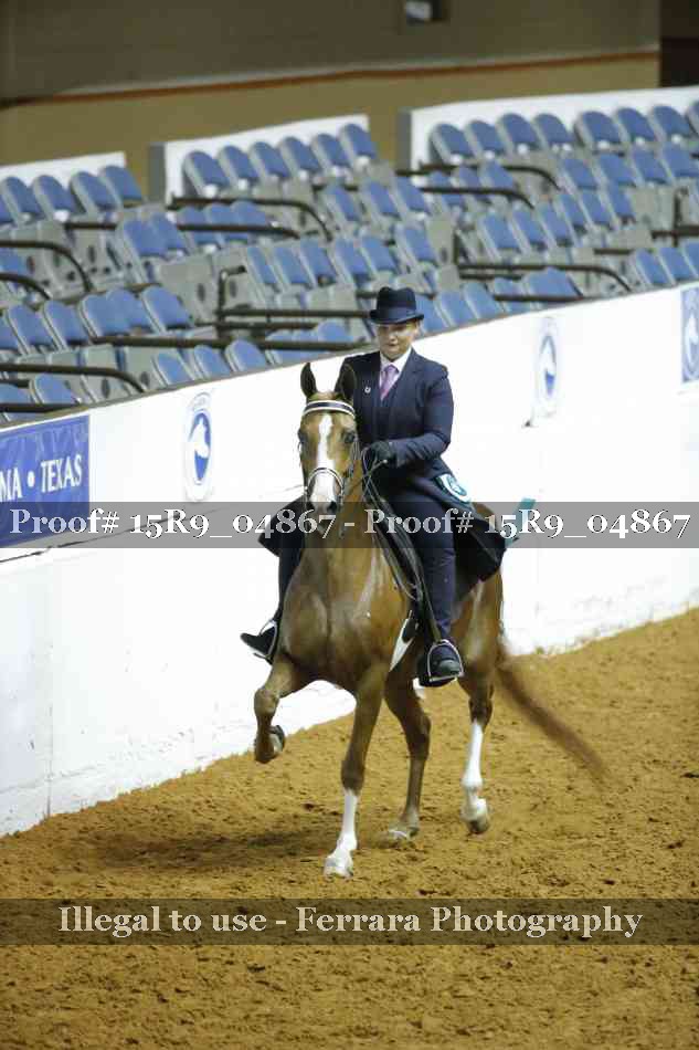Proof Number 15R9_04867