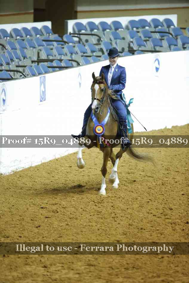Proof Number 15R9_04889