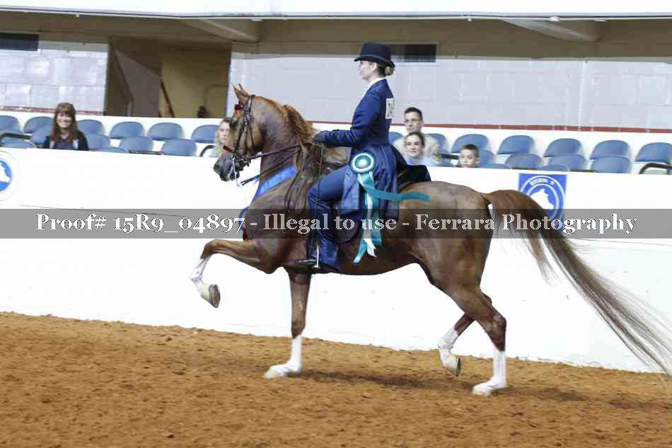Proof Number 15R9_04897
