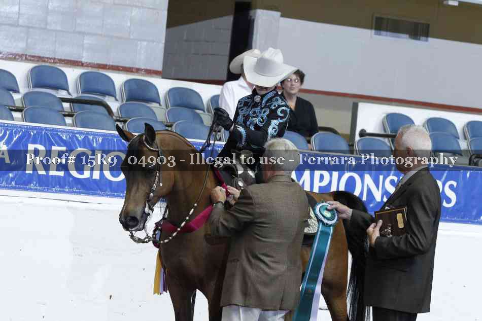 Proof Number 15R9_04903