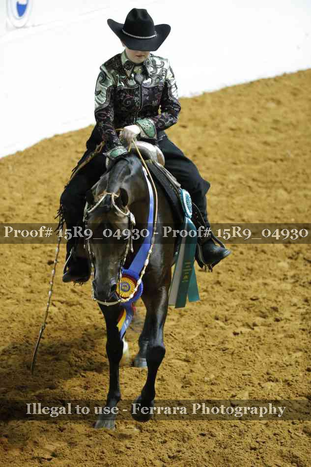 Proof Number 15R9_04930