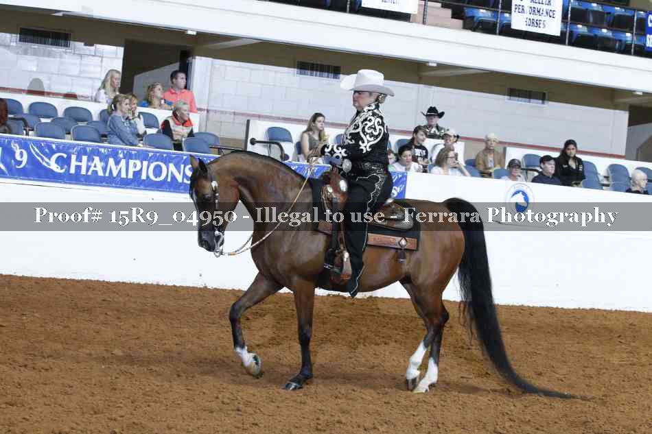 Proof Number 15R9_04950