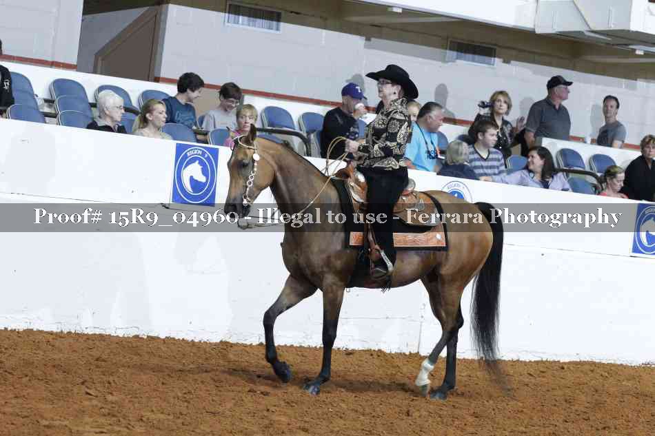 Proof Number 15R9_04960