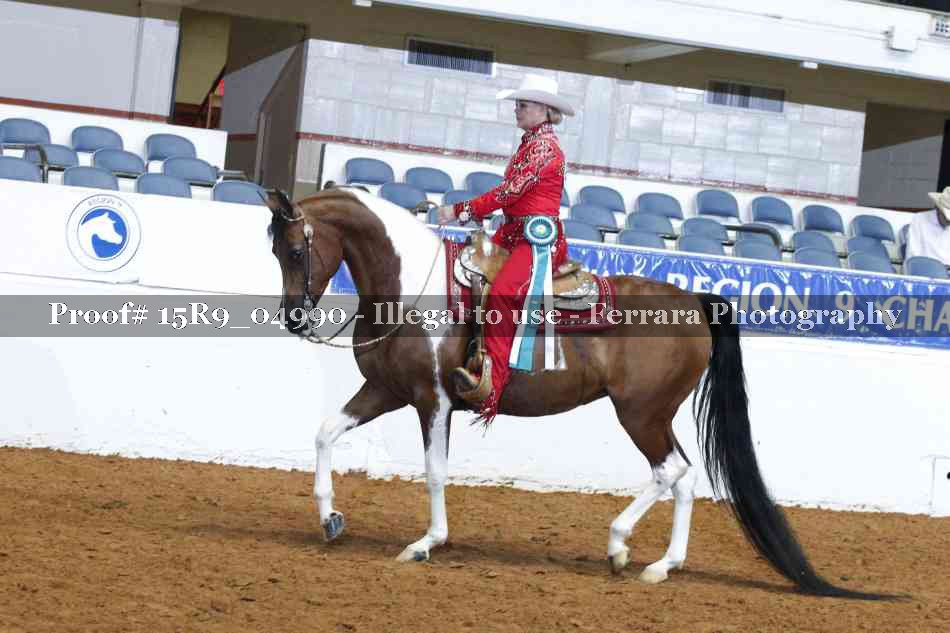 Proof Number 15R9_04990