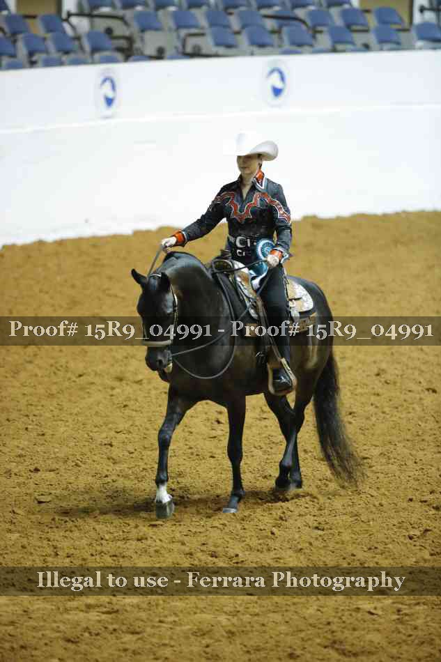 Proof Number 15R9_04991