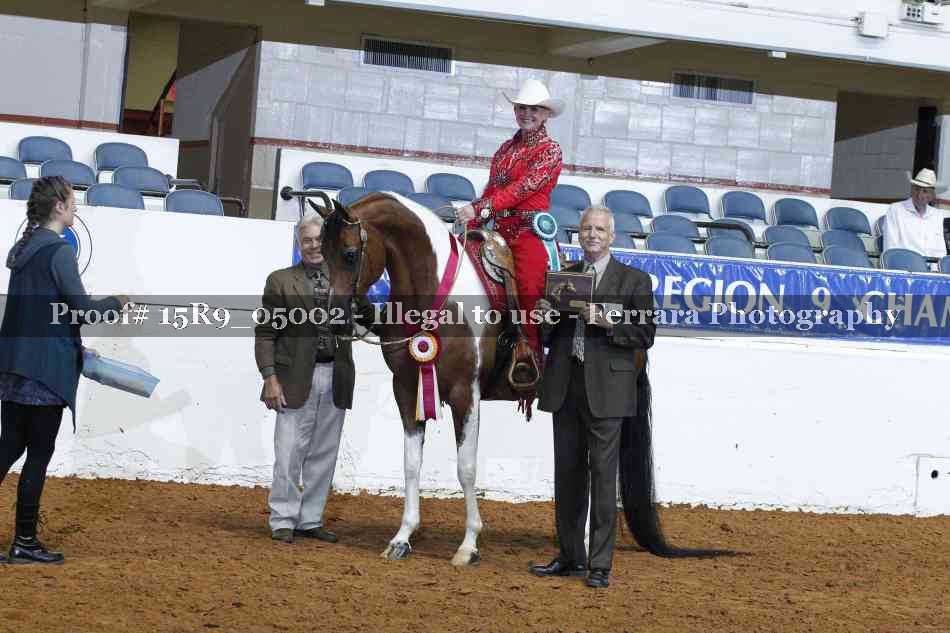 Proof Number 15R9_05002