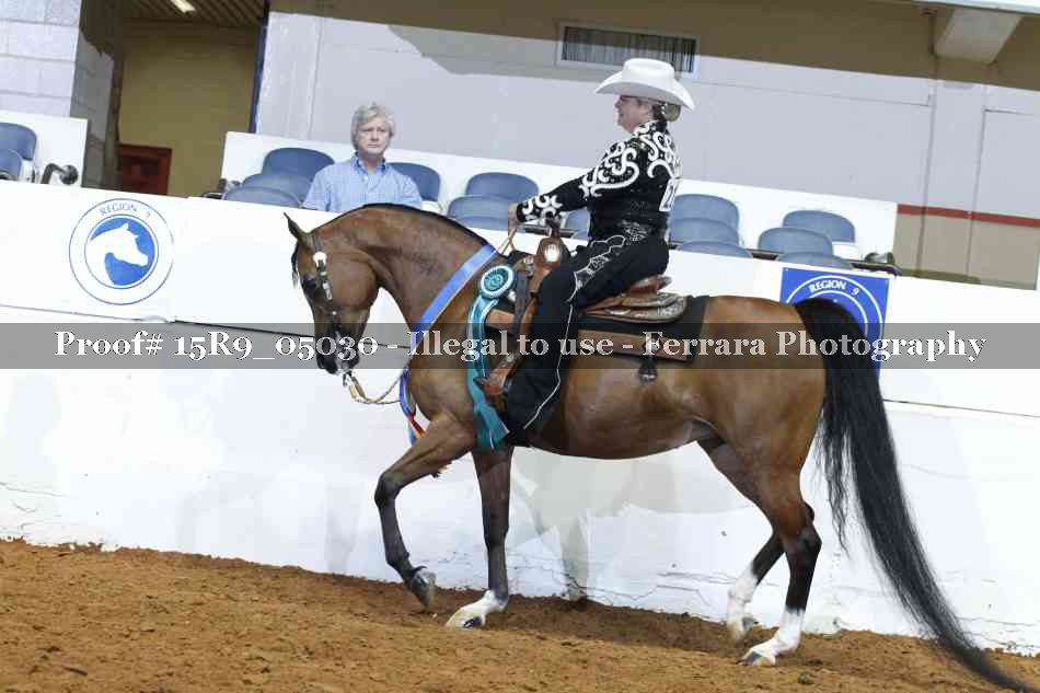 Proof Number 15R9_05030