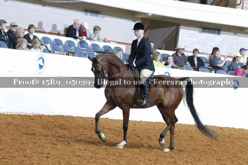 Proof Number 15R9_05039