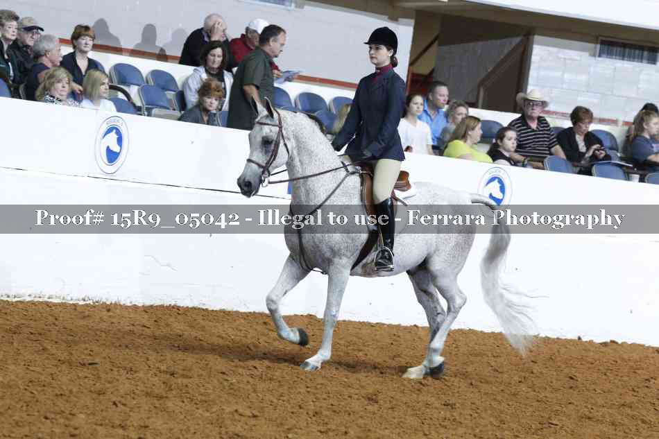 Proof Number 15R9_05042