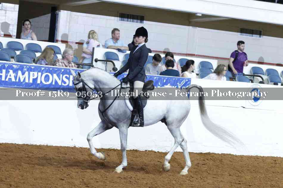 Proof Number 15R9_05053