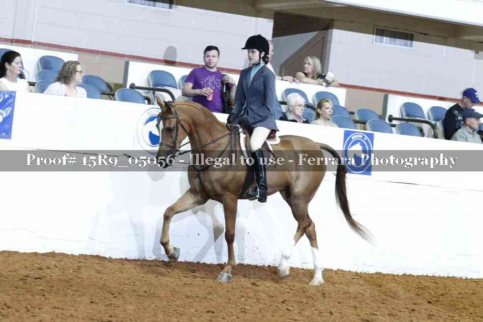 Proof Number 15R9_05056