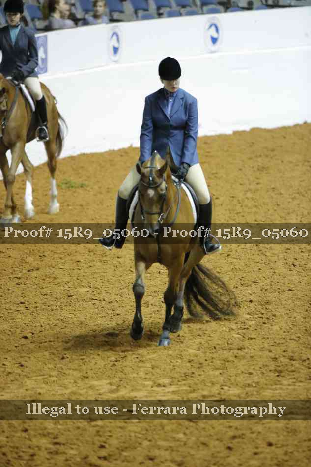 Proof Number 15R9_05060