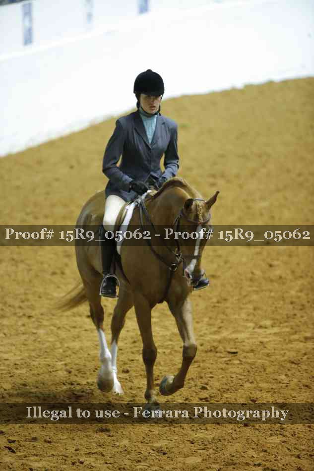 Proof Number 15R9_05062