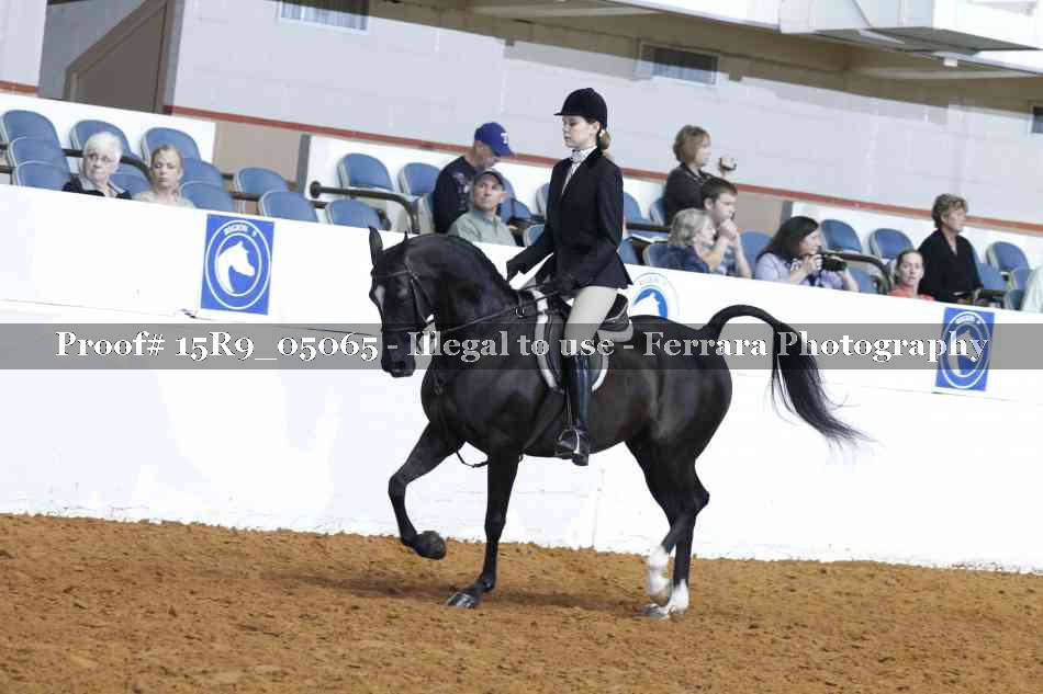 Proof Number 15R9_05065
