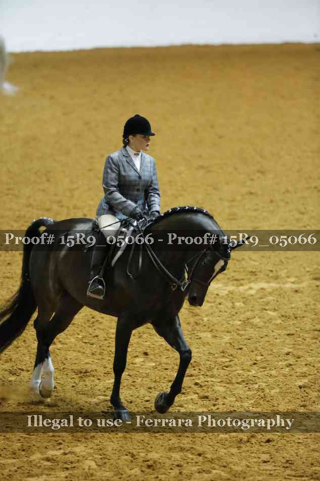 Proof Number 15R9_05066
