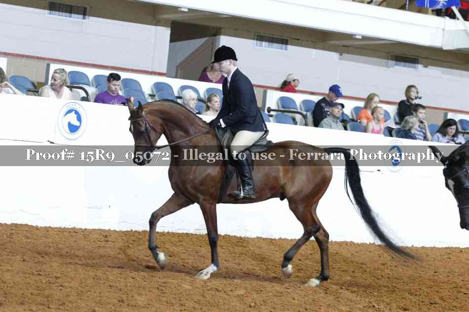 Proof Number 15R9_05072