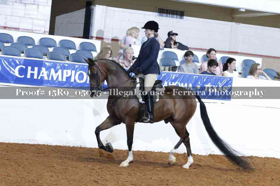 Proof Number 15R9_05075