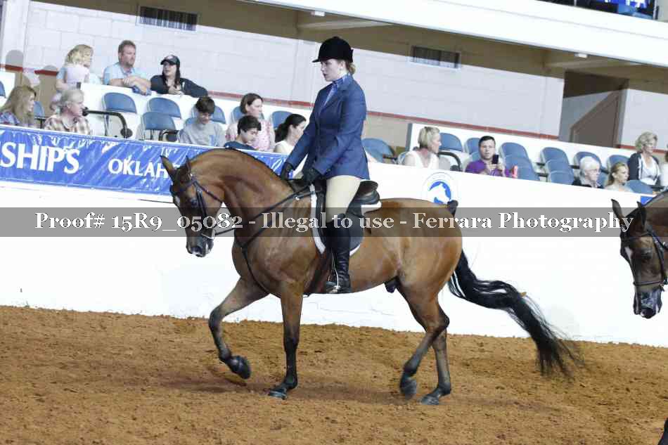 Proof Number 15R9_05082