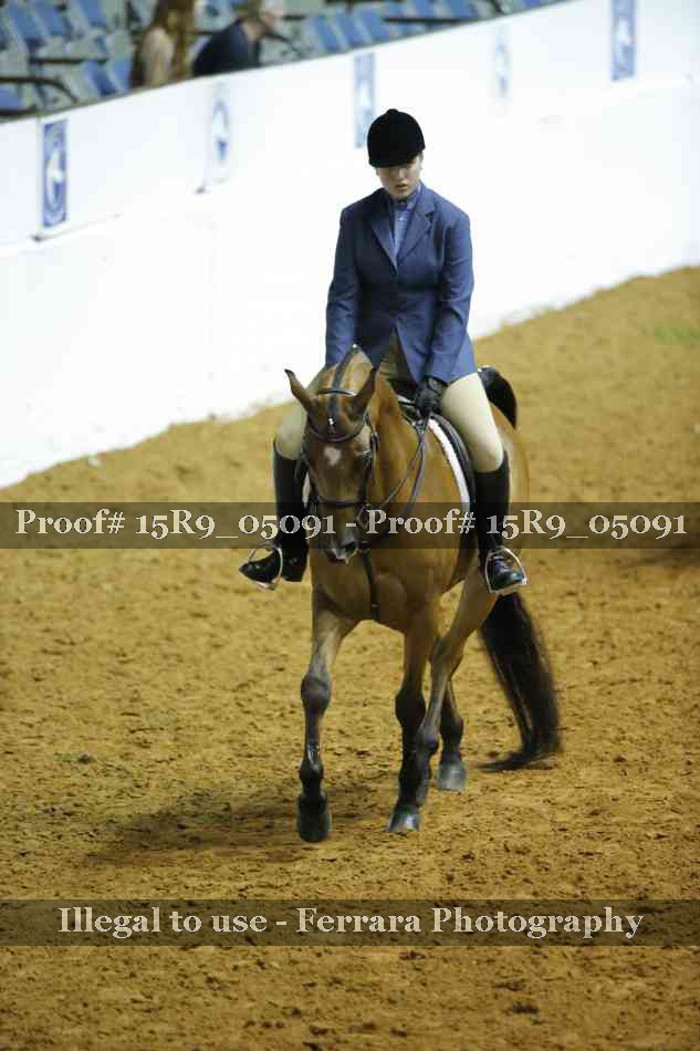 Proof Number 15R9_05091