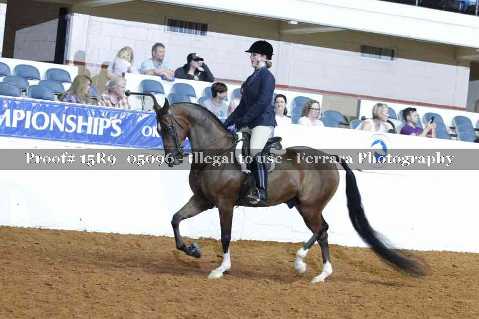 Proof Number 15R9_05096