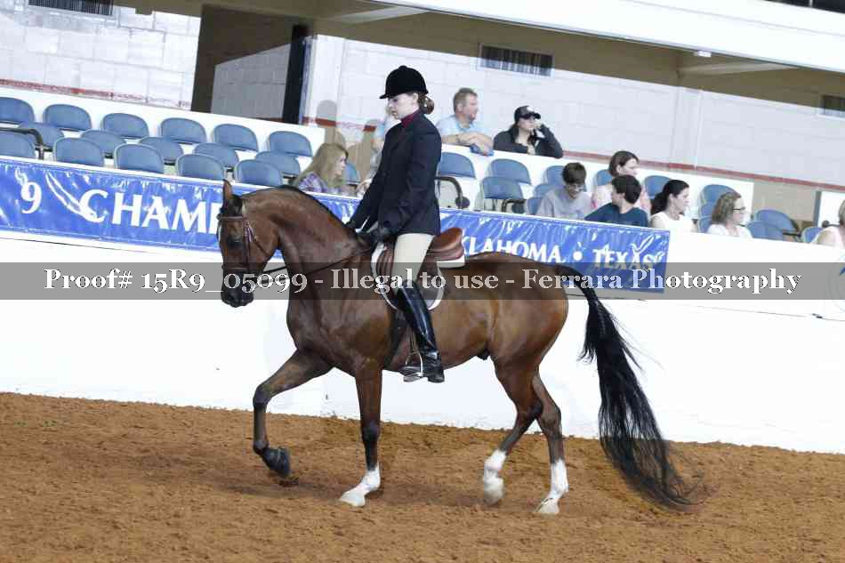 Proof Number 15R9_05099