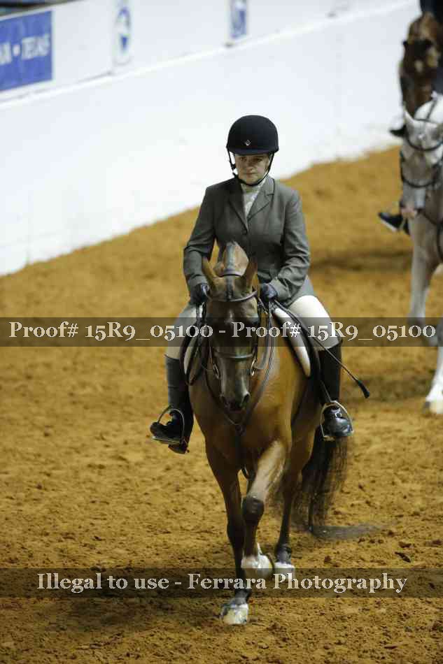 Proof Number 15R9_05100