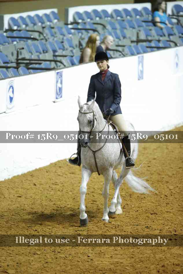 Proof Number 15R9_05101