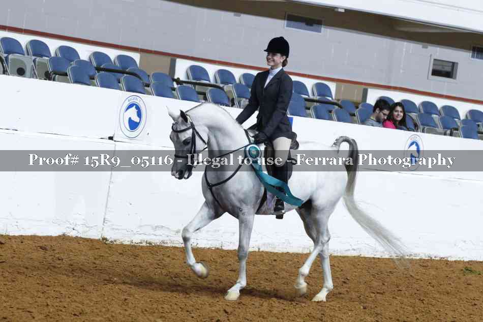 Proof Number 15R9_05116