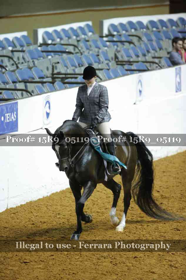 Proof Number 15R9_05119