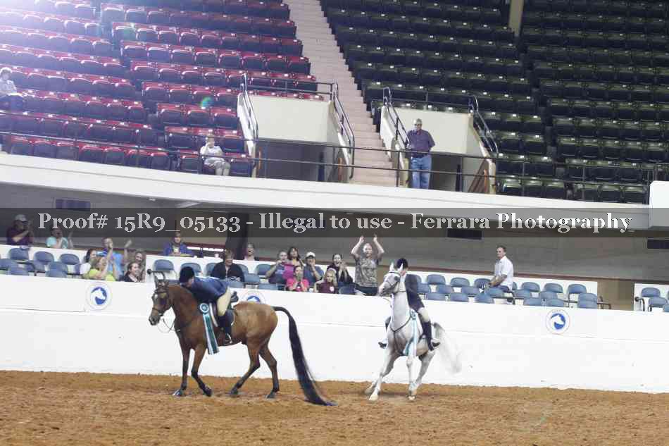 Proof Number 15R9_05133