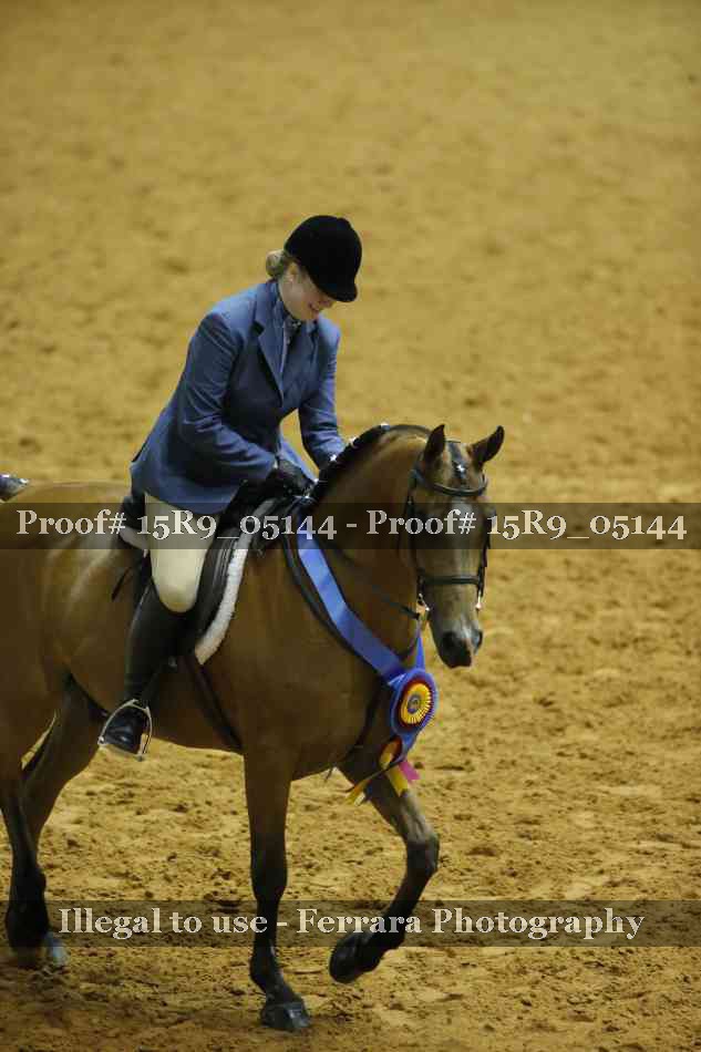 Proof Number 15R9_05144