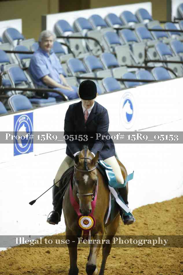 Proof Number 15R9_05153