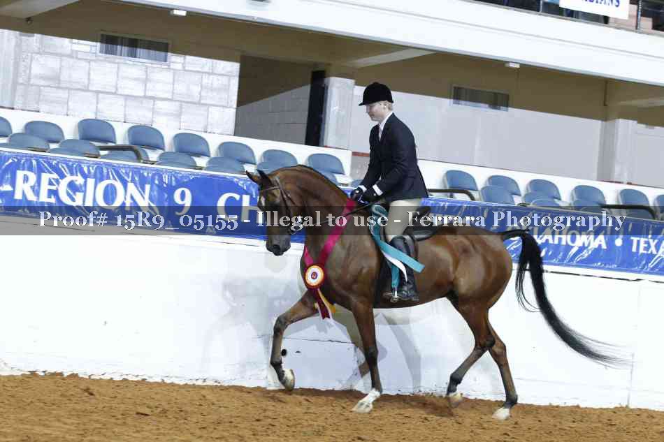 Proof Number 15R9_05155