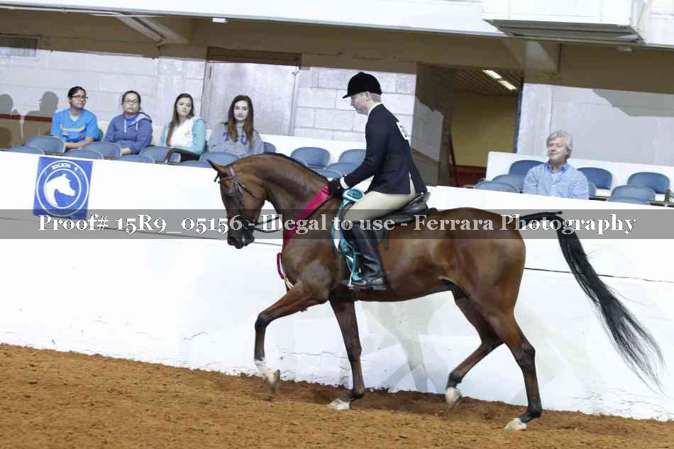 Proof Number 15R9_05156